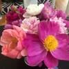 lauramccarth478